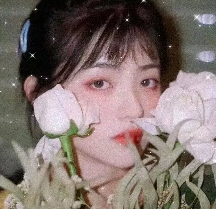 药屋少女的呢喃